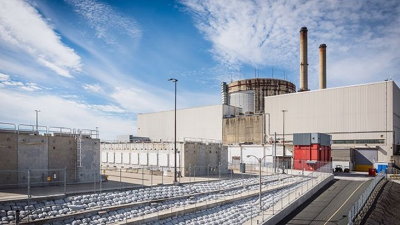 Crystal River (Image: Duke Energy)