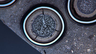A cross-section of TRISO particles at the 100µm scale (Image: Idaho National Laboratory)